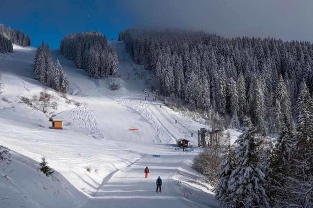 Dans Residence Neuve Le Snow Roc Sur Les Pistes, Grand Studio Cosy 5 Pers Avec Terrasse Panoramique, Sauna, Wifi แซงต์-ฌ็อง-โดลป์ ภายนอก รูปภาพ